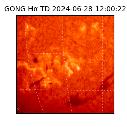 gong - 2024-06-28T12:00:22