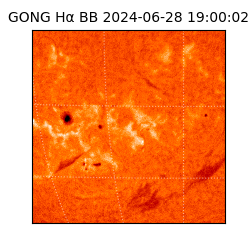 gong - 2024-06-28T19:00:02