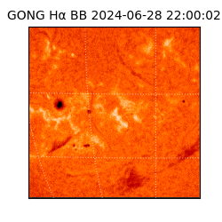 gong - 2024-06-28T22:00:02