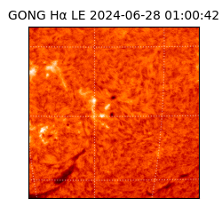 gong - 2024-06-28T01:00:42