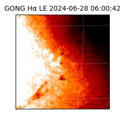 gong - 2024-06-28T06:00:42