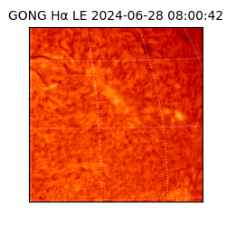 gong - 2024-06-28T08:00:42