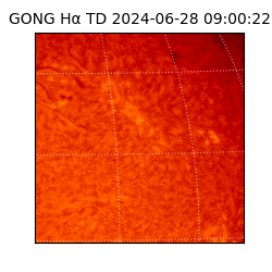 gong - 2024-06-28T09:00:22
