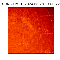 gong - 2024-06-28T13:00:22