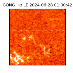 gong - 2024-06-28T01:00:42