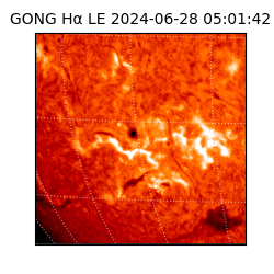 gong - 2024-06-28T05:01:42