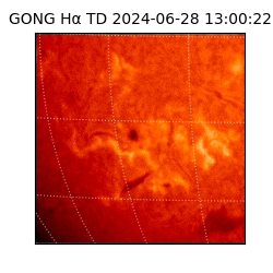 gong - 2024-06-28T13:00:22