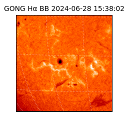 gong - 2024-06-28T15:38:02