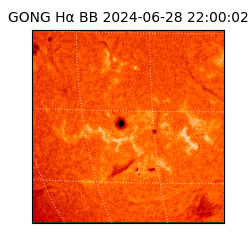 gong - 2024-06-28T22:00:02