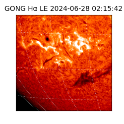 gong - 2024-06-28T02:15:42