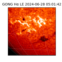 gong - 2024-06-28T05:01:42