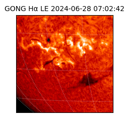 gong - 2024-06-28T07:02:42