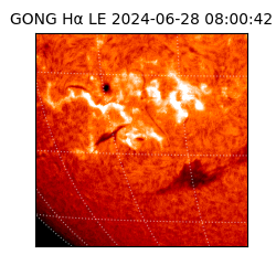 gong - 2024-06-28T08:00:42