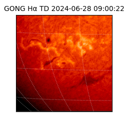 gong - 2024-06-28T09:00:22