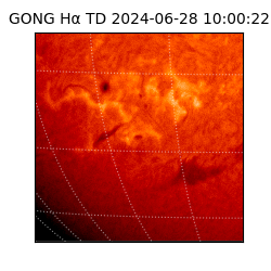 gong - 2024-06-28T10:00:22
