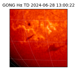 gong - 2024-06-28T13:00:22