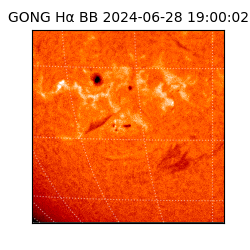 gong - 2024-06-28T19:00:02