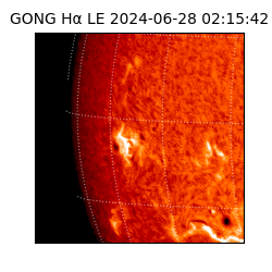 gong - 2024-06-28T02:15:42