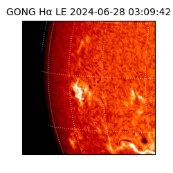 gong - 2024-06-28T03:09:42