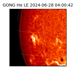 gong - 2024-06-28T04:00:42