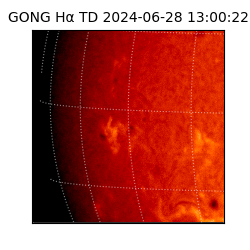 gong - 2024-06-28T13:00:22