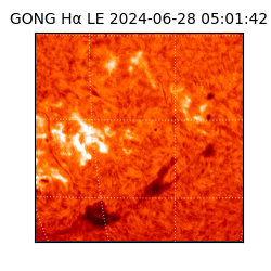 gong - 2024-06-28T05:01:42