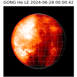 gong - 2024-06-28T00:00:42