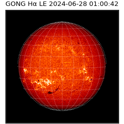 gong - 2024-06-28T01:00:42