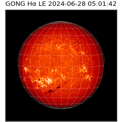 gong - 2024-06-28T05:01:42