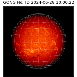 gong - 2024-06-28T10:00:22