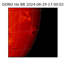 gong - 2024-06-29T17:00:02
