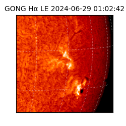 gong - 2024-06-29T01:02:42