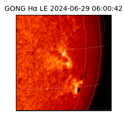 gong - 2024-06-29T06:00:42