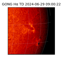 gong - 2024-06-29T09:00:22