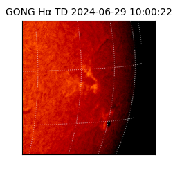 gong - 2024-06-29T10:00:22