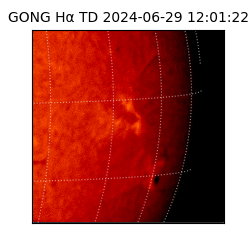 gong - 2024-06-29T12:01:22