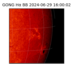 gong - 2024-06-29T16:00:02