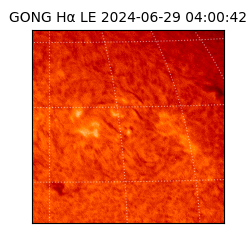 gong - 2024-06-29T04:00:42