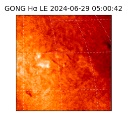 gong - 2024-06-29T05:00:42