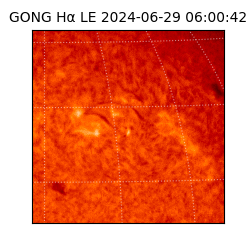 gong - 2024-06-29T06:00:42