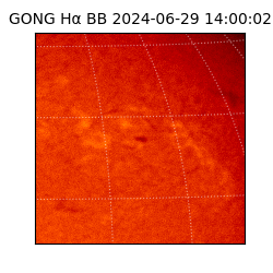 gong - 2024-06-29T14:00:02