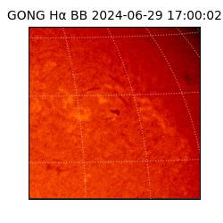 gong - 2024-06-29T17:00:02