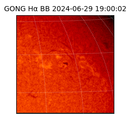 gong - 2024-06-29T19:00:02