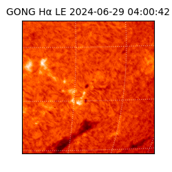 gong - 2024-06-29T04:00:42