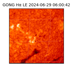 gong - 2024-06-29T06:00:42