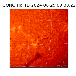 gong - 2024-06-29T09:00:22