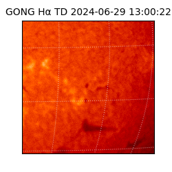 gong - 2024-06-29T13:00:22