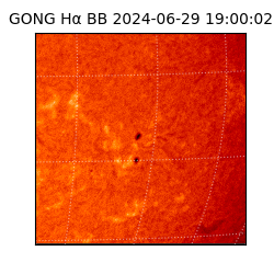 gong - 2024-06-29T19:00:02