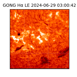 gong - 2024-06-29T03:00:42