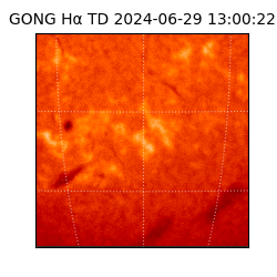 gong - 2024-06-29T13:00:22